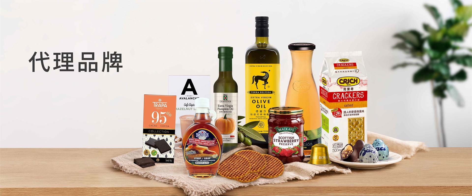 代理品牌banner1920×800壓